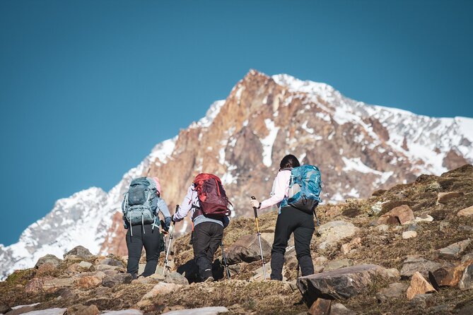 Andes Hiking Experience Full Day - First Stop: Potrerillos Dam, Then Up Toward Cordón del Plata
