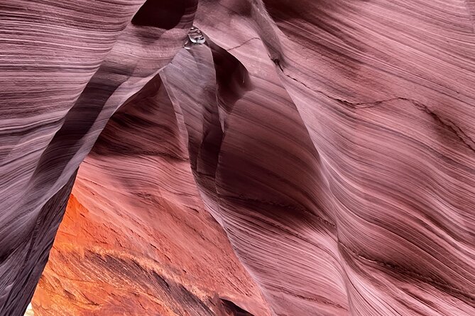 Antelope Canyon Lake Powell Guided Kayaking and Hike Tour - Swim Time on Lake Powell: The Refresh You Can Actually Feel
