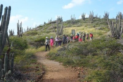 Arikok Adventurous Hiking Experience in Aruba - Meeting your ranger: what you’ll learn about Aruba’s endemic animals