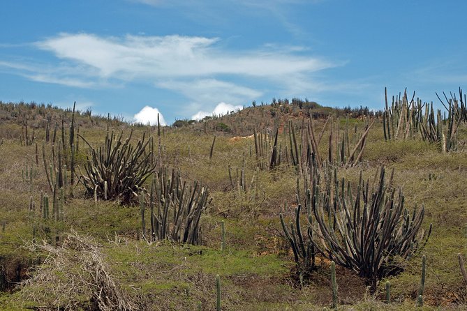 Arikok Adventurous Hiking Experience in Aruba - Historical stops inside the park: mining stories and old sites