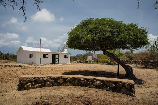 Arikok Adventurous Hiking Experience in Aruba - Bottled water and the small comforts that make desert hikes easier