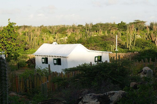 Arikok Adventurous Hiking Experience in Aruba - Price and value: is $57 worth a 3-hour morning in Arikok?