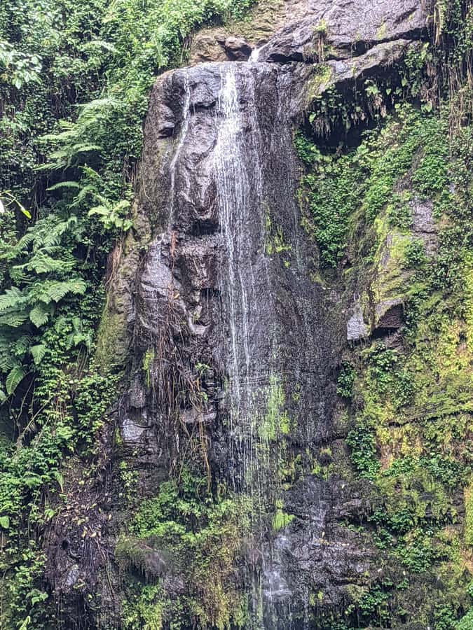 Arusha: Napuru Waterfalls Guided Hike - Key things to know before you go