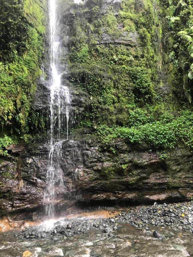 Arusha: Napuru Waterfalls Guided Hike - Price and value: is $50 per person a fair deal?
