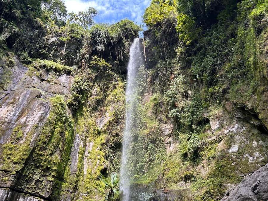 Arusha: Napuru Waterfalls Guided Hike - From hotel pickup to village walking: the Arusha start that sets the tone