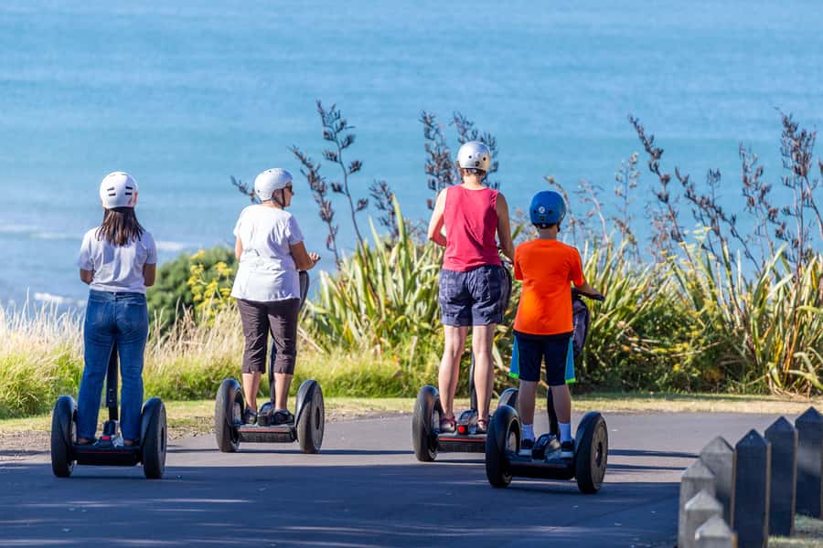 Auckland: Segway to North Head Volcano Summit - The Summit of Maungauika/North Head: Best-So-In-Town Views