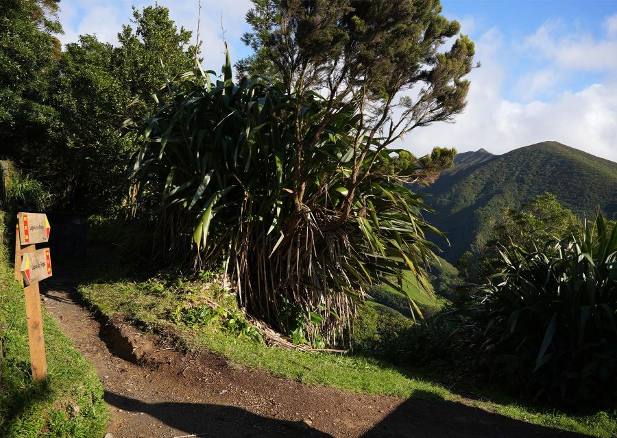 Azores: São Miguel and Lagoa do Fogo Hiking Trip - Small-group logistics: pickup, van timing, and why max 8 matters