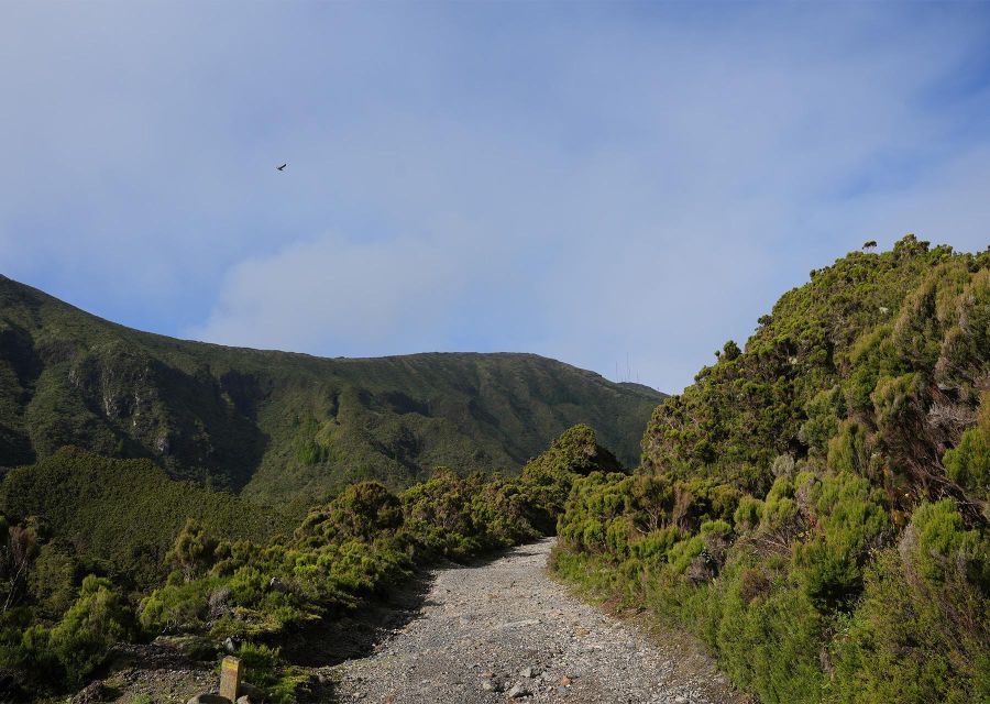 Azores: São Miguel and Lagoa do Fogo Hiking Trip - How the Lagoa do Fogo day works (and why it’s worth the time)