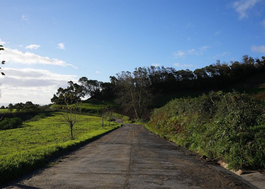 Azores: São Miguel and Lagoa do Fogo Hiking Trip - The levada section: where the walk turns poetic (and practical)