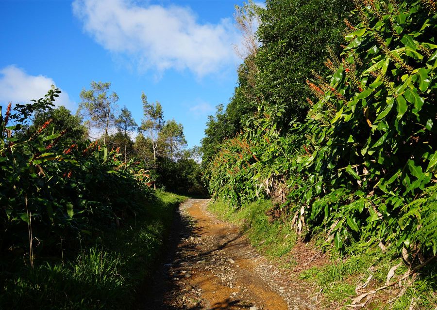 Azores: São Miguel and Lagoa do Fogo Hiking Trip - The final stop before heading back: more photos, less rushing