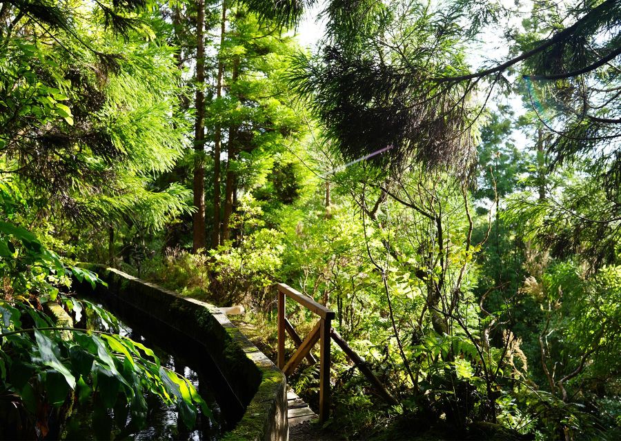 Azores: São Miguel and Lagoa do Fogo Hiking Trip - The return descent: steep steps, hydrangeas, and south-coast views