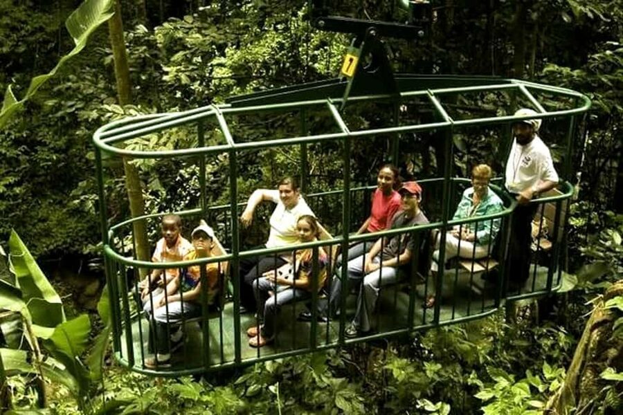 Babonneau/Castries: Rainforest Zip Line, Tram, and Hike Tour - Key things I’d watch for