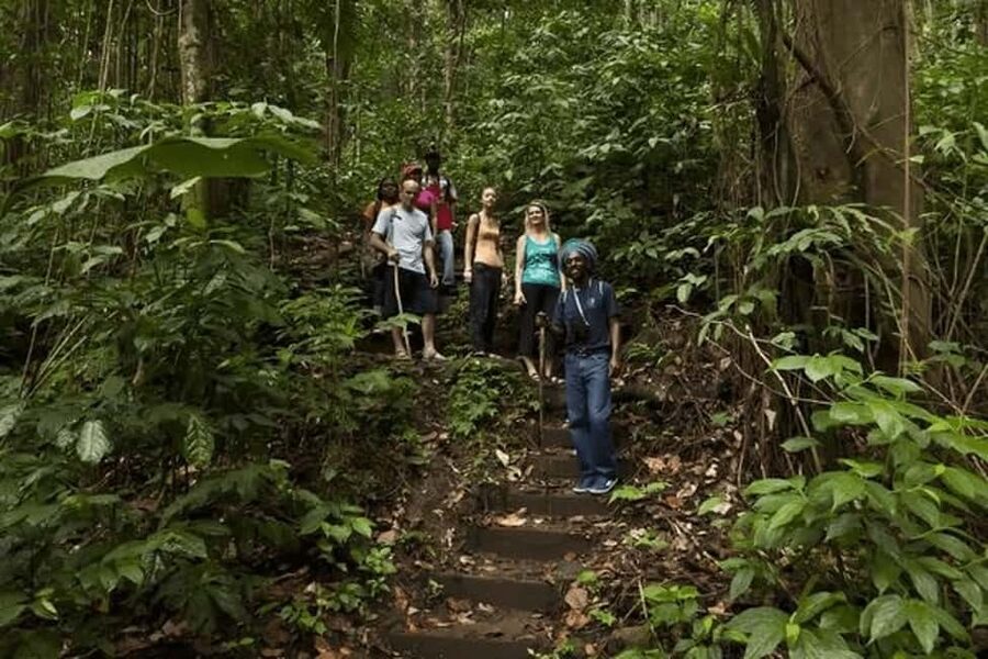 Babonneau/Castries: Rainforest Zip Line, Tram, and Hike Tour - Why This Tour Works: Tram + Zip Line + Trail, All in One Block of Time