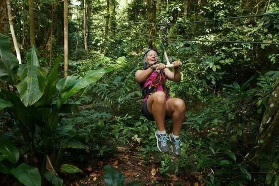 Babonneau/Castries: Rainforest Zip Line, Tram, and Hike Tour - Aerial Tram Ride: Your First Look at the Rainforest World