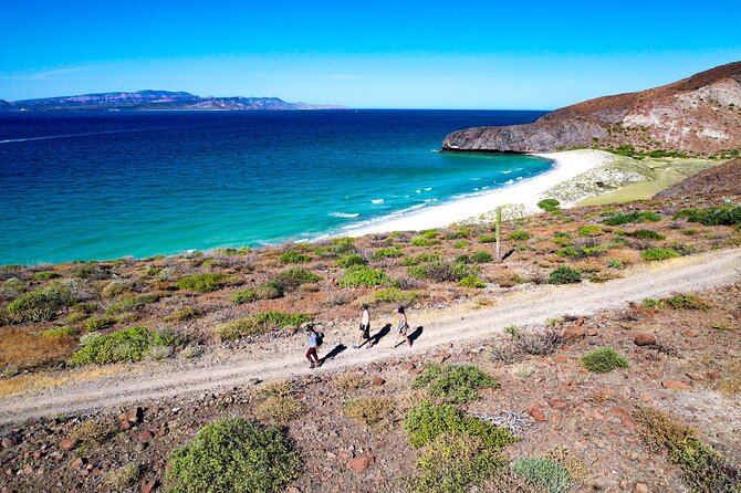 Balandra & Tecolote: hike, kayak and snorkel in paradise - Snorkeling on a rocky reef: what to expect, and how to feel ready
