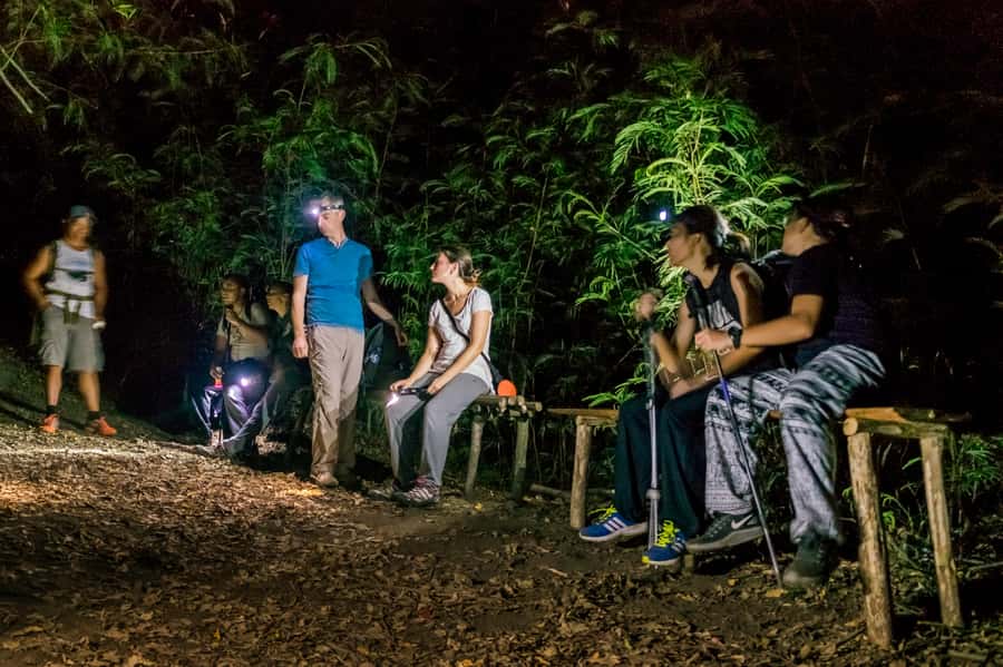 Bali: Mount Batur Sunrise Hike with Breakfast & Hot Spring - The climb: cold headlamp steps to the 1717m summit