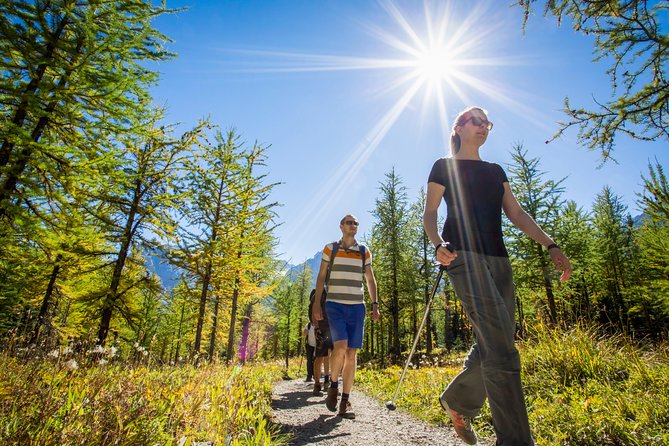 Banff National Park Guided Hike with Lunch - Why the guide makes the hike feel worth it (and safer)