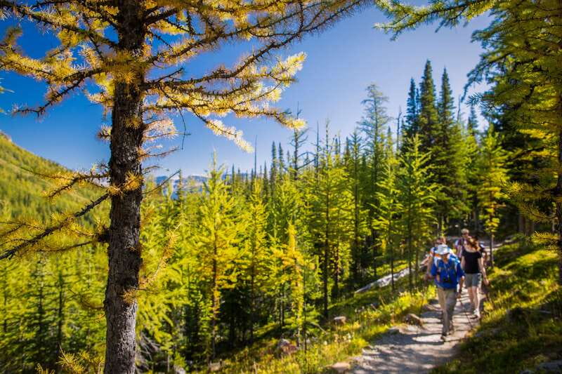 Banff National Park: Guided Signature Hikes with Lunch - Entering Banff by minibus: the morning rhythm that makes the hike work