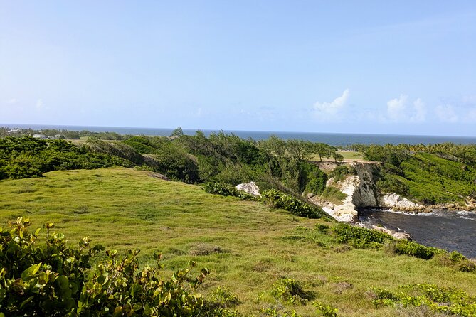 Barbados Hiking and Sightseeing Tour (Transport Included) - How the guides run the ride: support, pacing, and real stories
