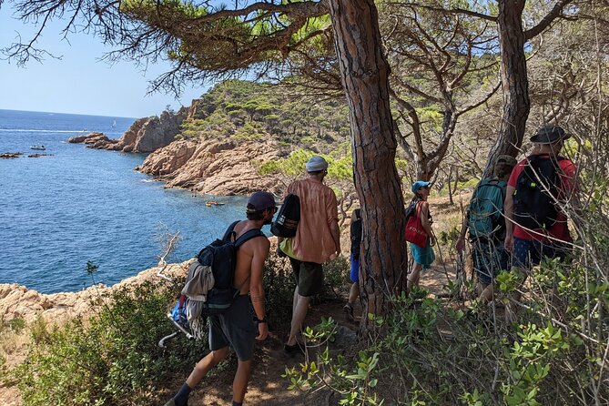 Barcelona: Costa Brava Easy Hike, Snorkel, Cliff-Jump & Meal - Optional cliff jumps: heights, safety, and nerves you can actually manage