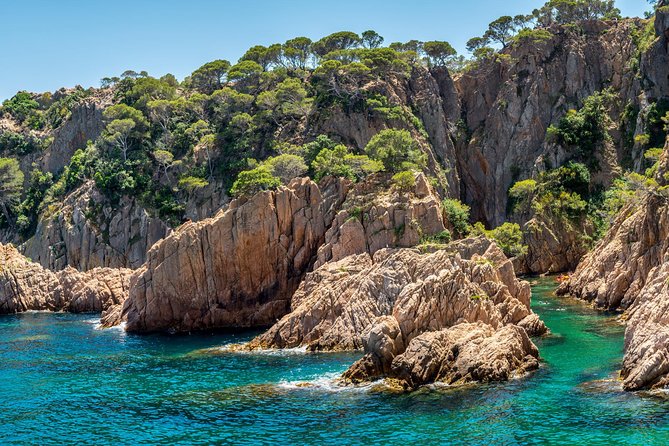 Barcelona: Costa Brava Easy Hike, Snorkel, Cliff-Jump & Meal - Guides and group size: why the day feels personal