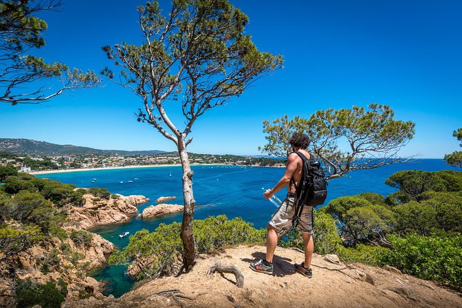 Barcelona: Costa Brava Easy Hike, Snorkel, Cliff-Jump & Meal - Getting to La Bohème: the simple setup that prevents last-minute stress