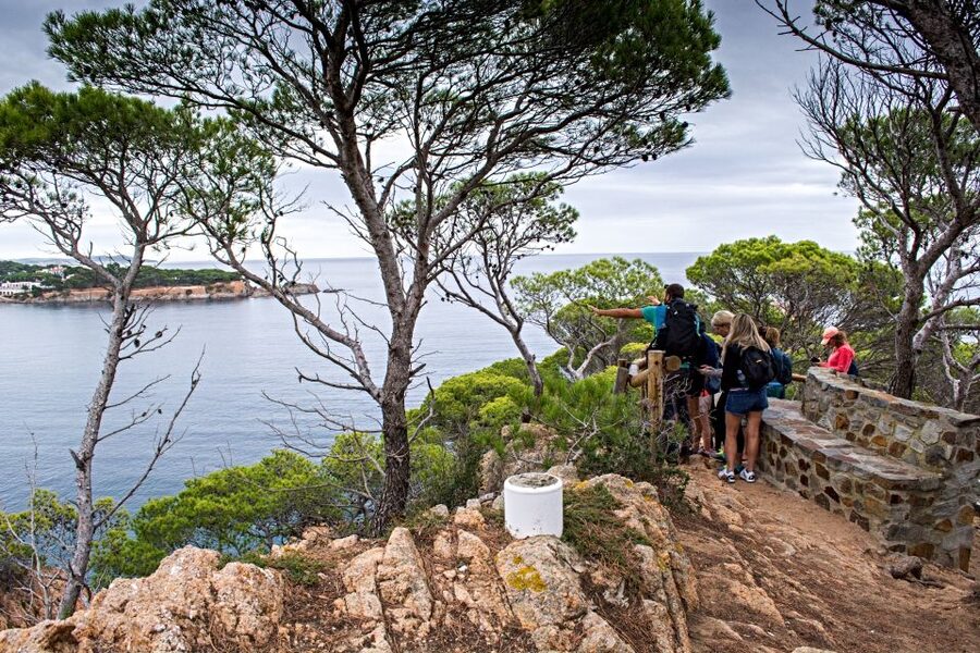 Barcelona: Costa Brava Hiking, Sea Kayaking & Lagoon Dipping - Morning hiking on El Camino de Ronda near Sant Feliu de Guíxols