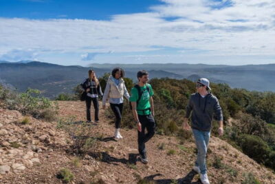 Barcelona: Montserrat Hike, Nature & Monastery, Semi-Private - From Drop-In to Guided: What Happens at the Abbey (About 1 Hour)
