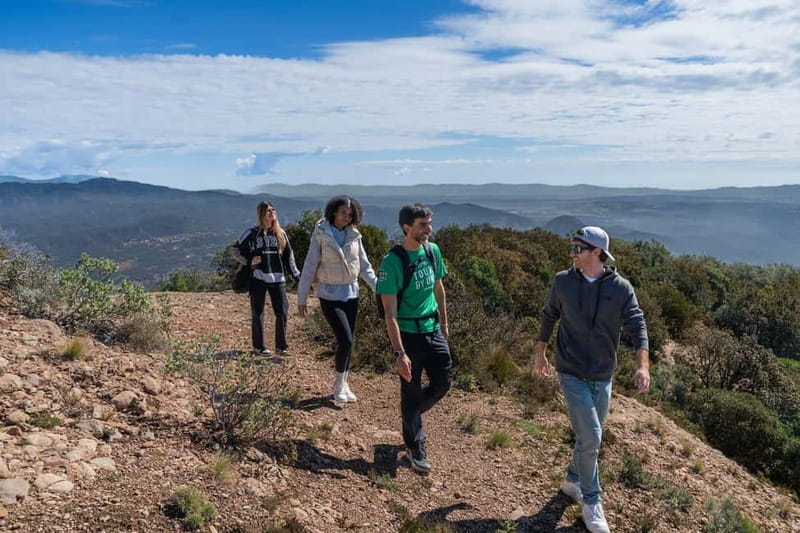Barcelona: Montserrat Hike, Nature & Monastery, Semi-Private - From Drop-In to Guided: What Happens at the Abbey (About 1 Hour)