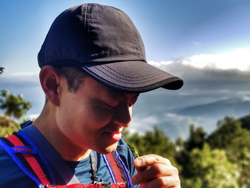 Barcelona: Montserrat Hiking Experience and Monastery Visit - Who should book this Montserrat hike (and who shouldn’t)