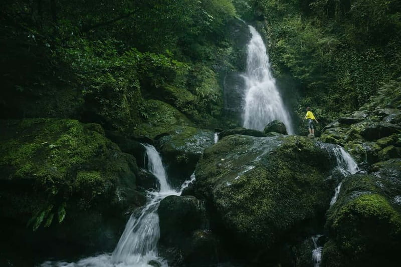 Batumi & Mtirala N.P. hike group tour from Kutaisi - Swimming at the Waterfalls (If You Like Cold Water)