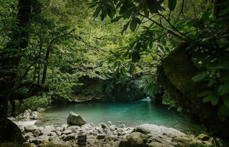 Batumi to Mtirala National park - Half day hiking group tour - First impressions: Mtirala is wet, green, and surprisingly close