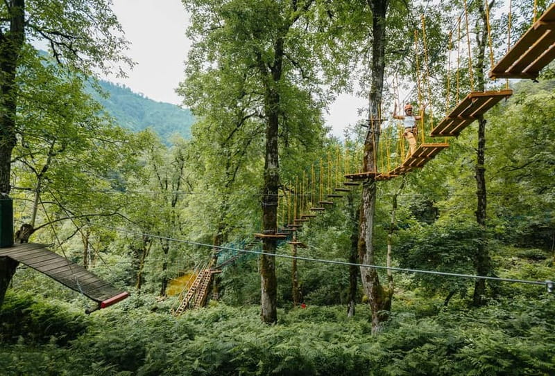 Batumi to Mtirala National park - Half day hiking group tour - What to bring: the small stuff that saves the day
