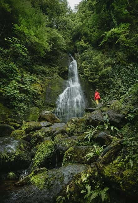 Batumi to Mtirala National park - Half day hiking group tour - The handmade cable car crossing: part thrill, part photo moment