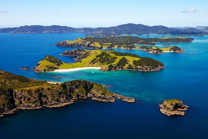 Bay of Islands Cruise & Island Tour - Snorkel, Hike,Swim,Wildlife - The 144-island cruise: wildlife spotting and onboard storytelling