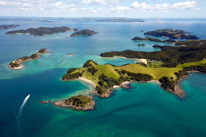 Bay of Islands Cruise & Island Tour - Snorkel, Hike,Swim,Wildlife - Lunch options and how to plan your time on the islands