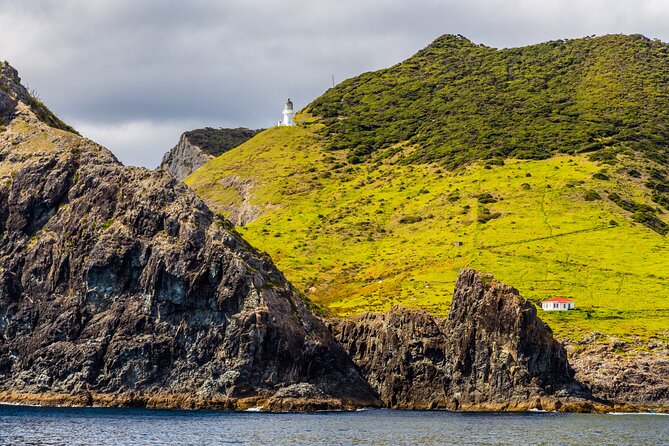 Bay of Islands Cruise & Island Tour - Snorkel, Hike,Swim,Wildlife - Price and value: is $104.88 a fair deal?