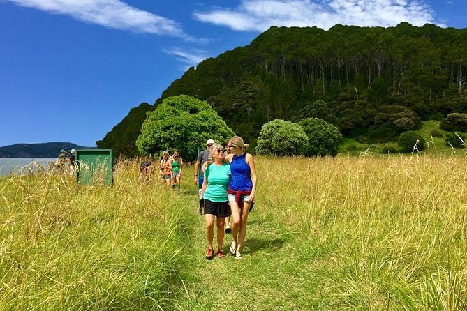 Bay of Islands Cruise & Island Tour - Snorkel, Hike,Swim,Wildlife - What to bring (and what to wear) for a comfortable day