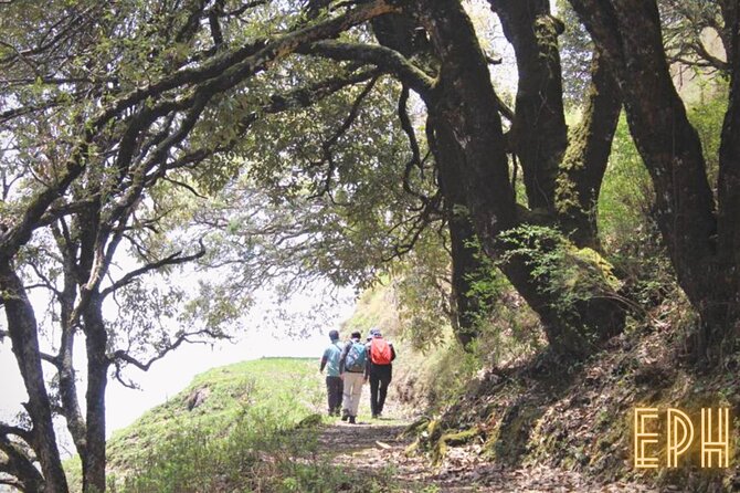 Benog Tibba Day Hike - Mussoorie - The day structure: a 4–4.5 hour nature loop that doesn’t drag