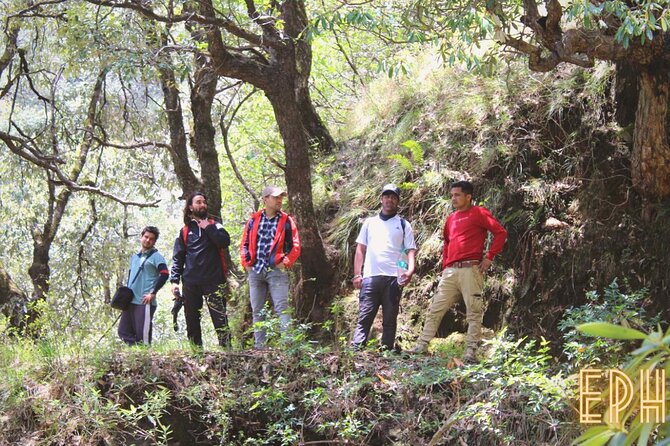 Benog Tibba Day Hike - Mussoorie - The highest point moment: panoramas over Mussoorie and snow-capped peaks