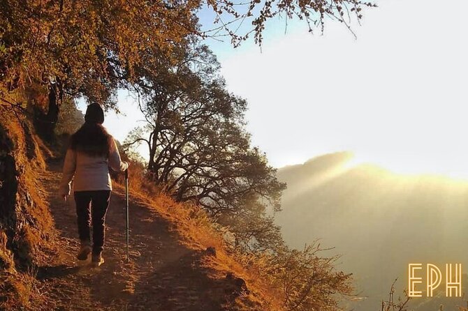 Benog Tibba Day Hike - Mussoorie - On the trail in Benog Sanctuary: shade, open views, and a steady rhythm