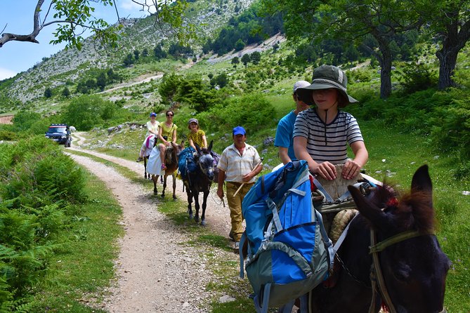 Berat Hiking Off Road picnic lunch in Tomori Holy Mount - Getting to Tomori Holy Mount from Berat, the fun way