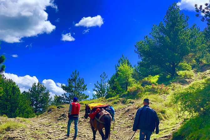 Berat Hiking Off Road picnic lunch in Tomori Holy Mount - Price and value: $102.12 for a full mountain day