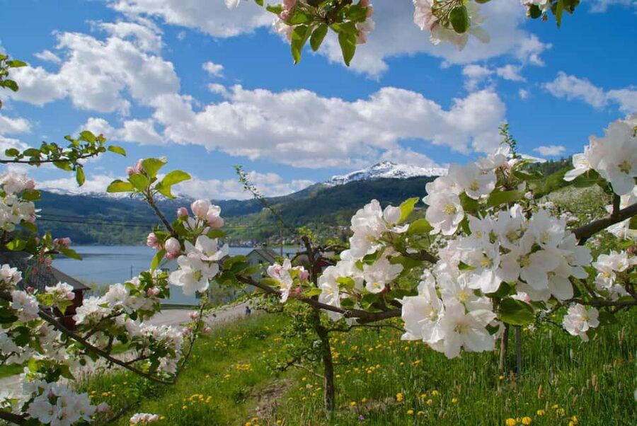 Bergen: Easy Hike to Bondhus Glacier Lake & Rosendal Visit - The Hardangerfjord ride: ferries, mountain views, and why timing matters