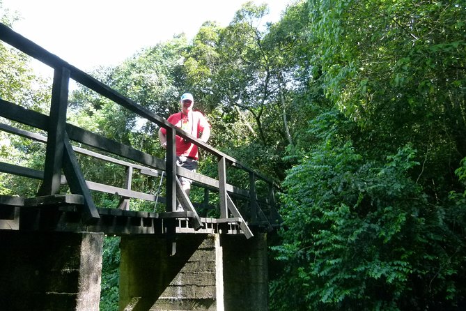 Best Kilimanjaro hiking day trip tour with Kilinge Adventures - Key things to know before you go