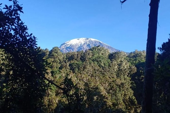 Best Kilimanjaro hiking day trip tour with Kilinge Adventures - Moshi’s Marangu Route Sneak Peek: what you’re really buying