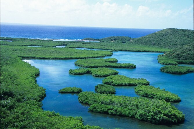 Best of Mangrove Lagoon Kayak, Hike and Snorkel Adventure with Picnic Lunch - Snorkeling the Marine Sanctuary: What You’ll See and What Can Limit Visibility