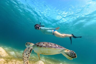 Best of Mangrove Lagoon Kayak, Hike and Snorkel Adventure with Picnic Lunch - Kayaking the Lagoon: Narrow Waterways, Real Instruction, and Real Effort