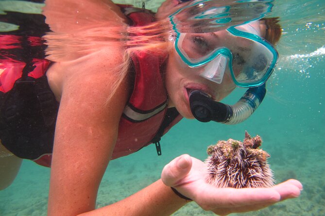 Best of Mangrove Lagoon Kayak, Hike and Snorkel Adventure with Picnic Lunch - Lunch, Gear, and the End-of-Day Details That Actually Matter