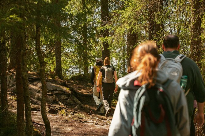 Best View of the Oslofjord Hike - The First Leg: Metro to Frognerseteren (City to Forest, Fast)
